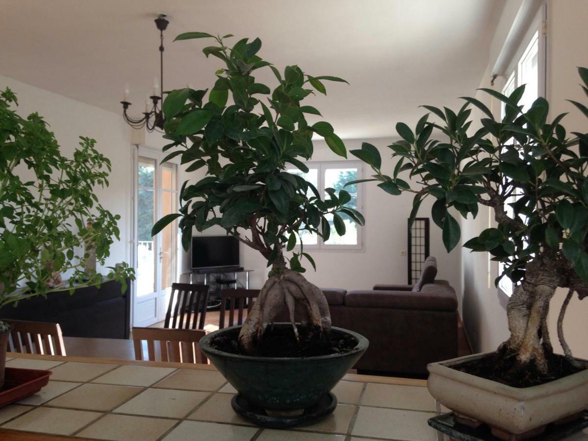 Appartement Salvaterra Sauveterre  Buitenkant foto